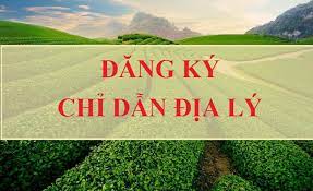 Chỉ dẫn địa lý