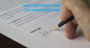 Mẫu hợp đồng thuê cửa hàng