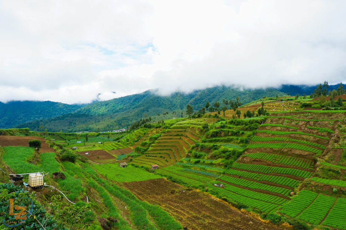Có được hủy hợp đồng mua bán đất đã công chứng hay không