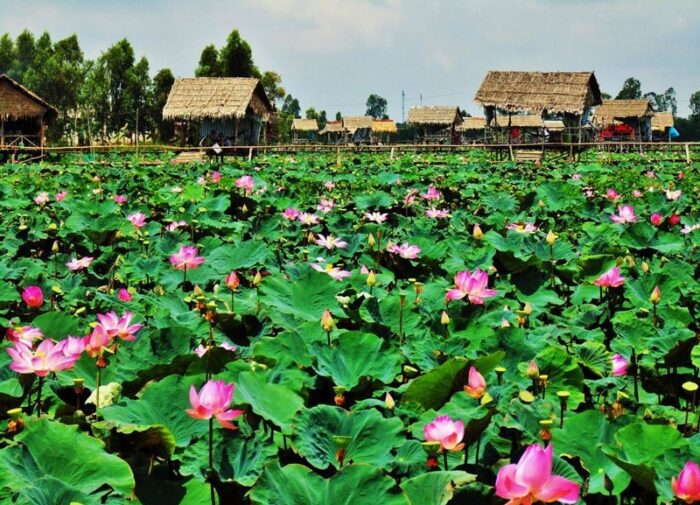 Luật sư tại Đồng Tháp: hồ sơ tham khảo và cách chọn phù hợp