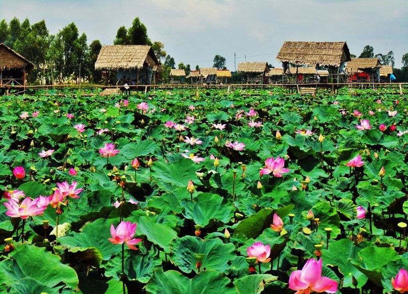 - Top 10 danh sách luật sư Đồng Tháp