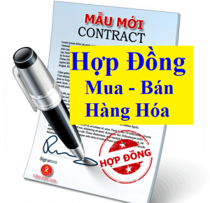 Mẫu hợp đồng thuê nhà cá nhân