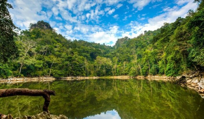Luật sư tại Bắc Kạn: hồ sơ tham khảo và cách chọn phù hợp