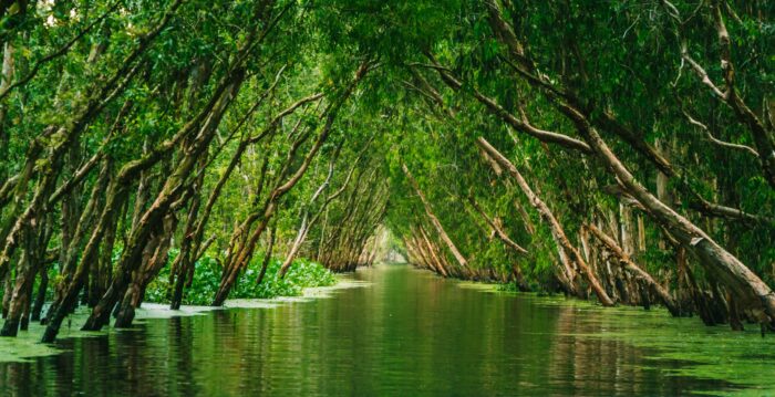 Luật sư tại Kon Tum: hồ sơ tham khảo và cách chọn phù hợp