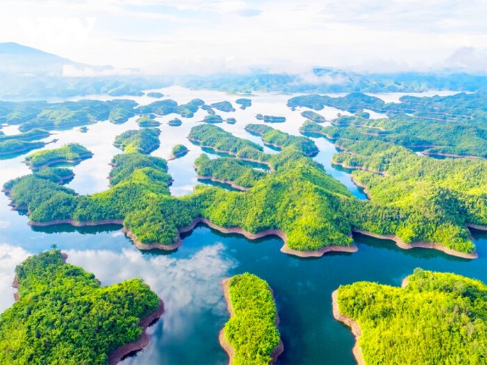 Luật sư tại Đắk Nông: hồ sơ tham khảo và cách chọn phù hợp