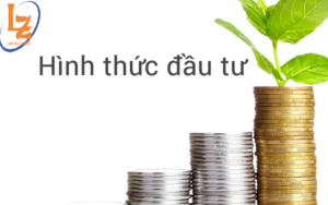 CÁC HÌNH THỨC ĐẦU TƯ VÀO VIỆT NAM