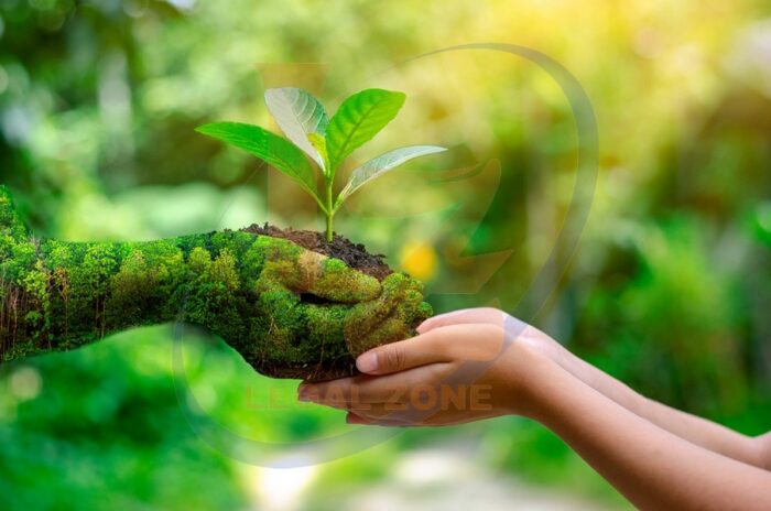 Nguyên tắc bảo vệ môi trường theo quy định hiện hành