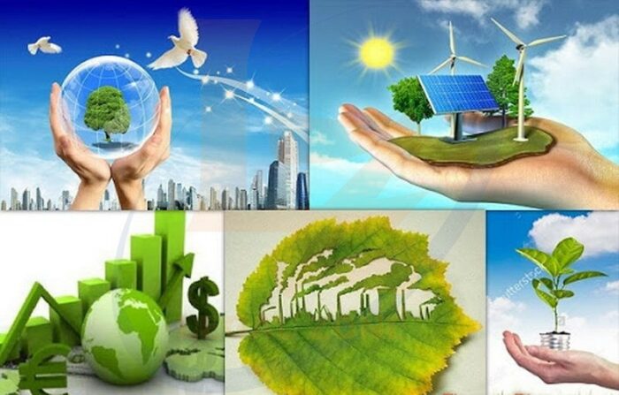 Phân tích các nguyên tắc chủ yếu của luật môi trường hiện nay