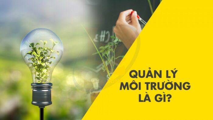 Quản lý môi trường và công cụ quản lý