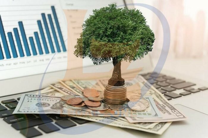Vốn đầu tư là gì?