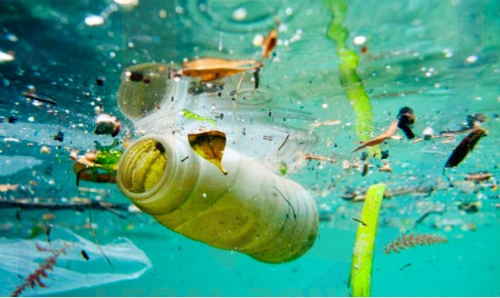 bao-ve-moi-truong-bien-va-hai-dao