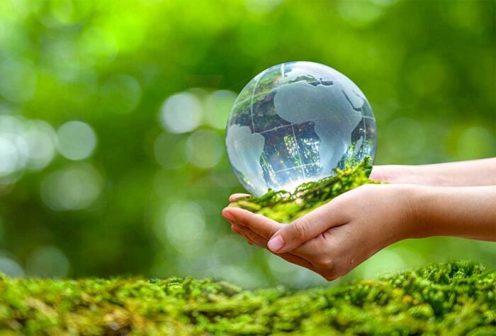 Con người tà n phá môi trường như thế nào?