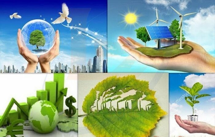 Vai trò của môi trường, quy định của pháp luật về bảo vệ môi trường.