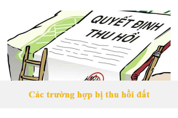 1713886212_Cac-truong-hop-bi-thu-hoi-dat-theo-quy-dinh.jpg