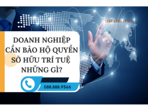 Doanh-nghiep-can-bao-ho-quyen-so-huu-tri-tue-nhung-gi.png