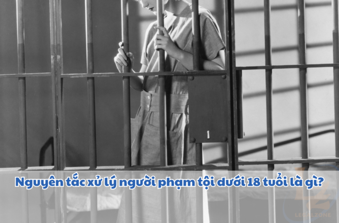 Nguyên tắc xử lý người dưới 18 tuổi phạm tội