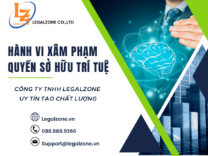 THẾ NÀO LÀ HÀNH VI XÂM PHẠM QUYỀN SỞ HỮU