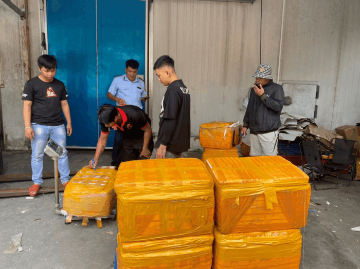 Lực lượng quản lý thị trường kiểm tra và tạm giữ hơn 500 kg nội tạng heo đông lạnh không rõ nguồn gốc tại TP.HCM (tháng 8/2024)