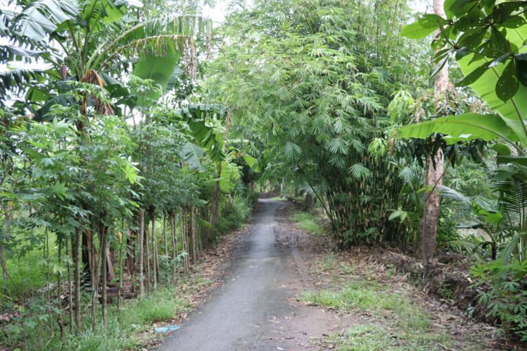 Án lệ số 14/2017/AL: Những vấn đề nổi bật và đề xuất kiến nghị