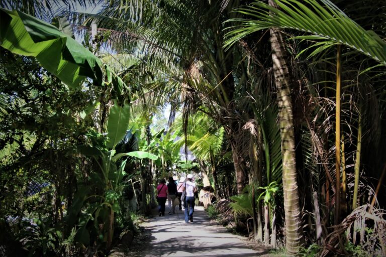 Án lệ số 52/2021/AL: Hiệu lực của hợp đồng tặng cho quyền sử dụng đất chưa đăng ký