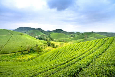 Bình luận về Án lệ số 52/2021/AL: Hiệu lực của hợp đồng tặng cho quyền sử dụng đất theo Luật Đất đai 2024