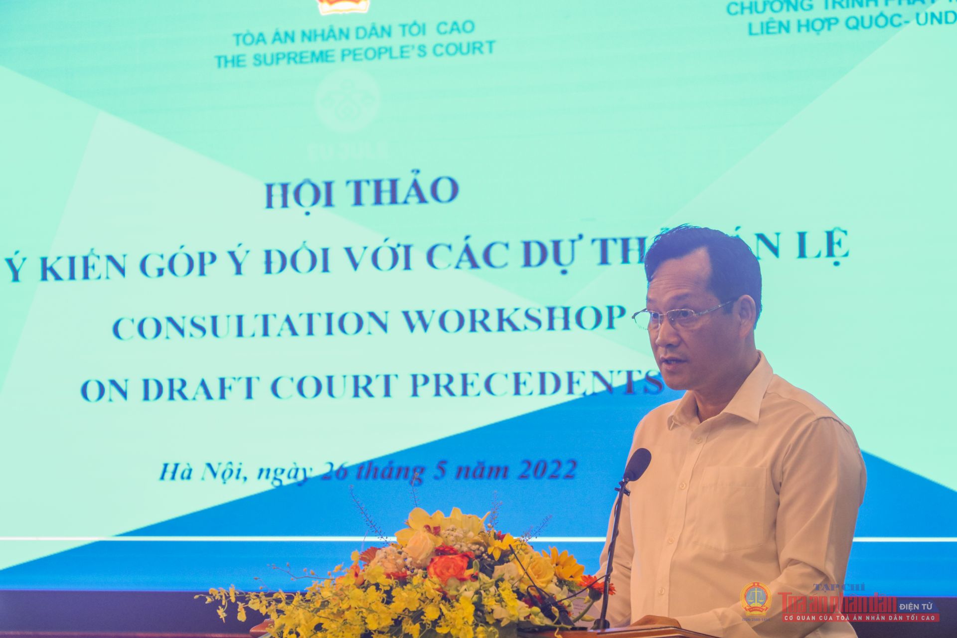 Hội nghị Tư vấn Đánh giá 14 Dự thảo Án lệ