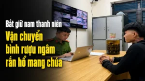 van-chuyen-binh-ruou-ngam-ran-ho-mang-chua