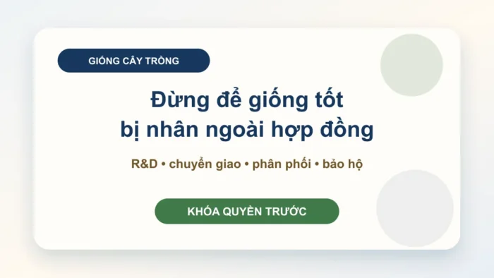 Quyền đối với giống cây trồng: khóa quyền khai thác