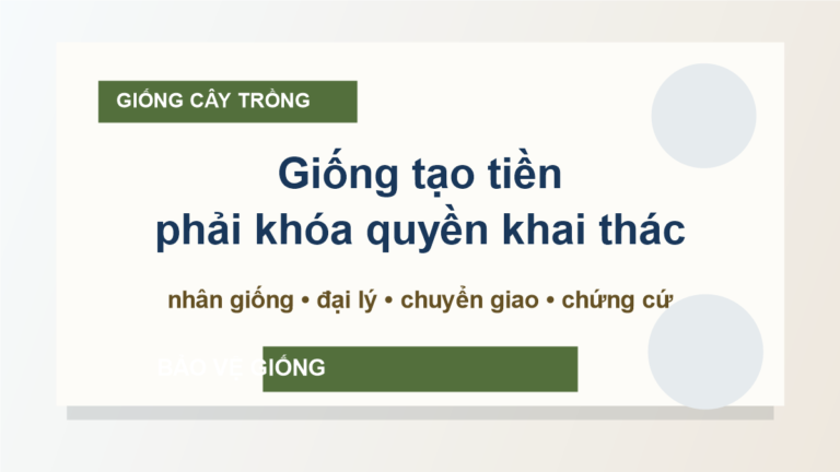 Quyền đối với giống cây trồng: khóa quyền khai thác trước khi nhân giống, phân phối hoặc chuyển giao