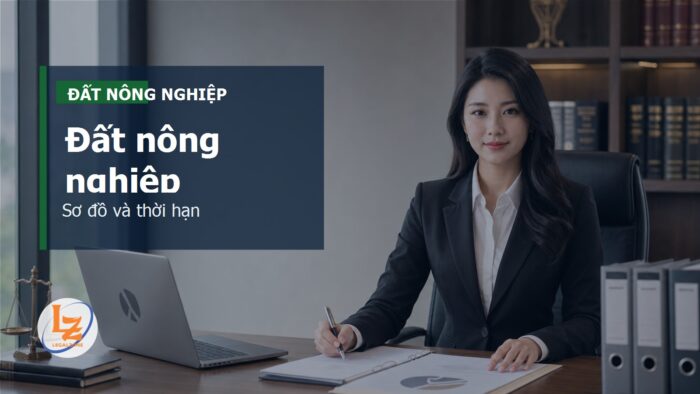 Thửa đất nông nghiệp trên Sổ đỏ: cách đọc sơ đồ, mục đích và thời hạn sử dụng